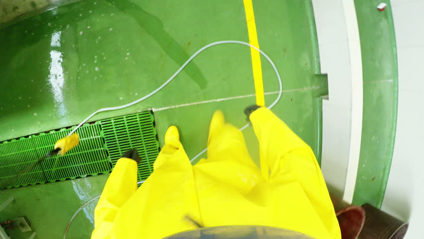 Header of abattoir