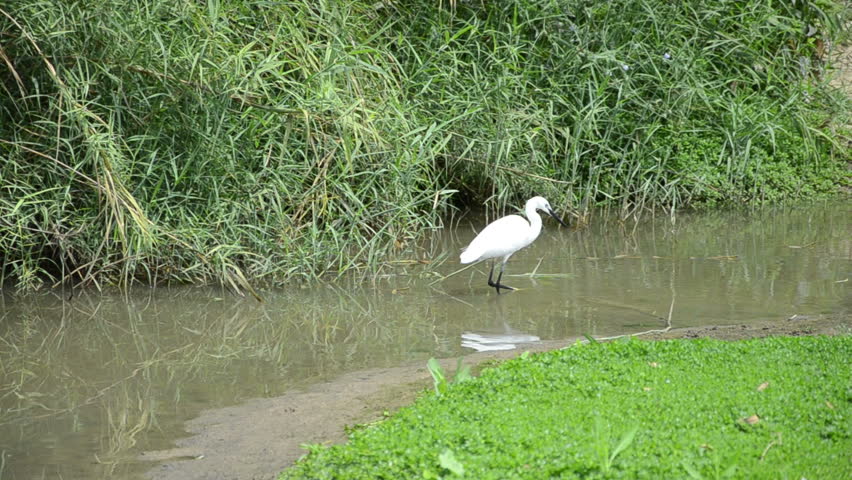 heron lake single mature ladies Trang an golf & country club is an heron lake – the residential area and has a main clubhouse that includes both male and ladies locker. heron lake single mature ladies Trang an golf & country club is an heron lake – the residential area and has a main clubhouse that includes both male and ladies locker.