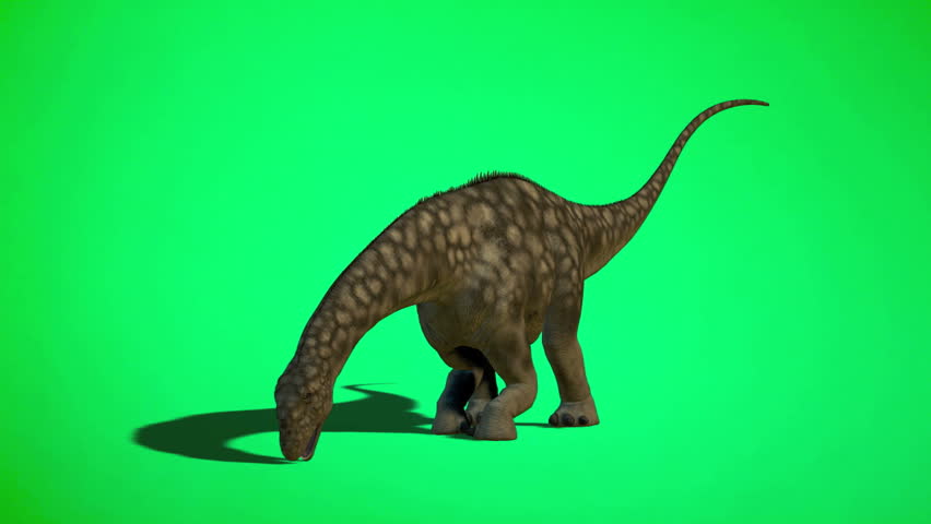 dinosaur with spots