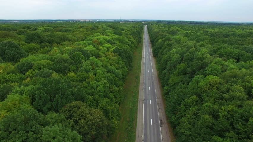 森林公路视频素材-站酷海洛创意正版图片,视频