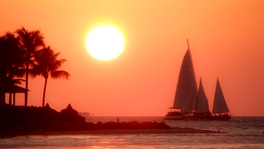 Header of 43