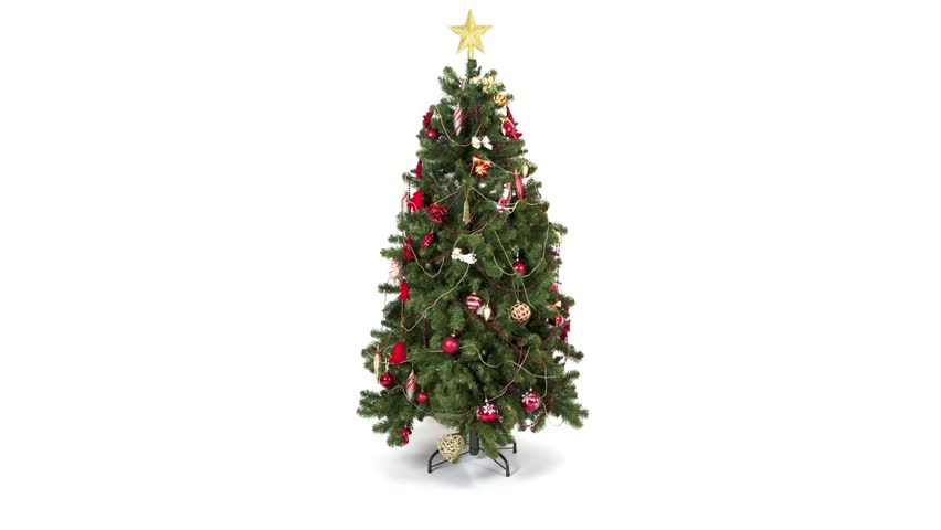 Beautiful Christmas Tree Close-up Isolated On White Background. HD 1080