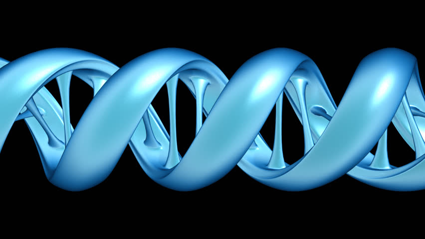 Animated DNA Strand. Stock Footage Video 1349707 - Shutterstock