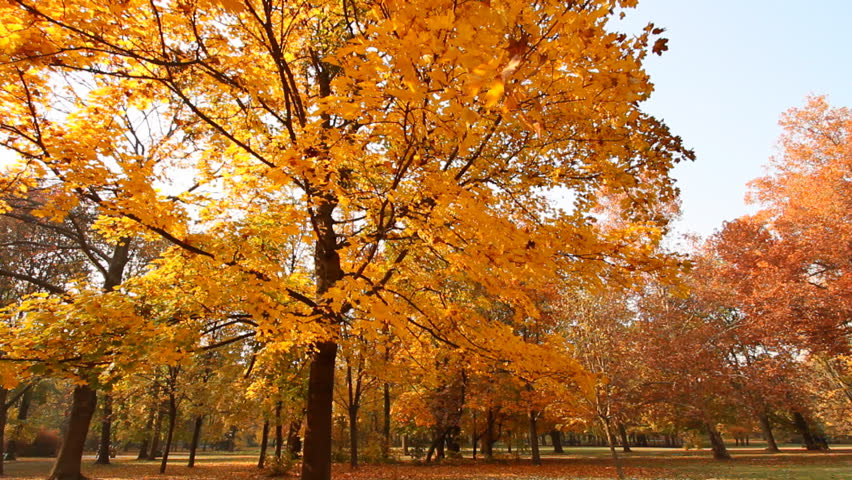 1.jpg?i10c=img.resize(height:160)