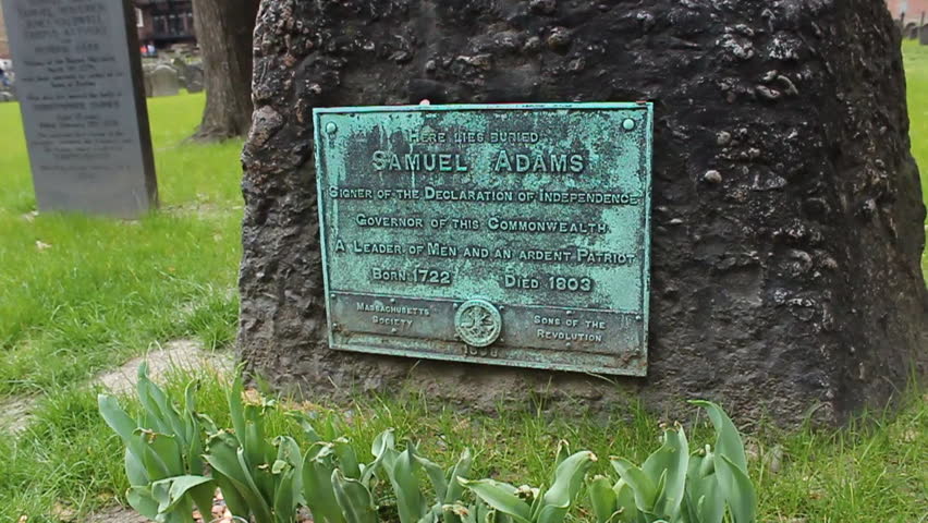 Header of Adams