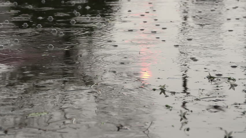 Rain Hits The Ground Stock Footage Video 2172962 - Shutterstock