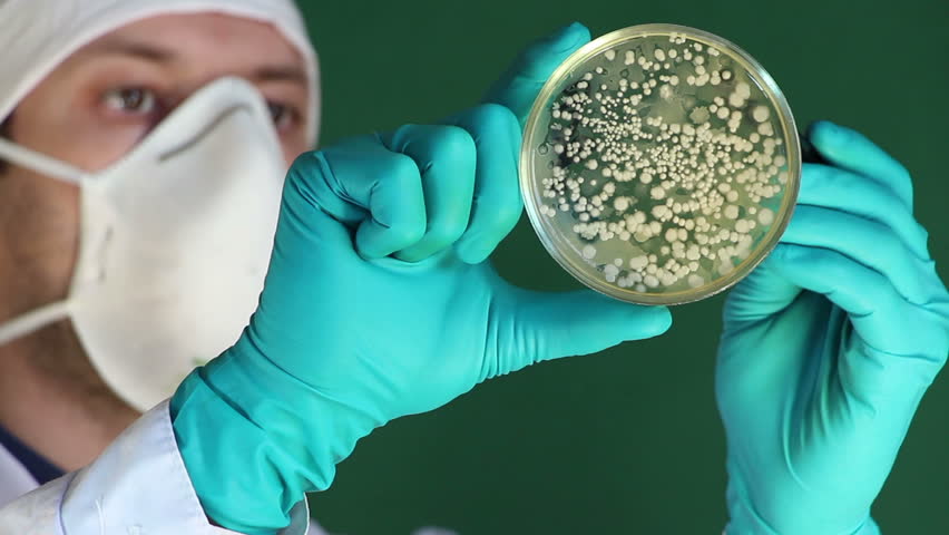 Header of agar-agar