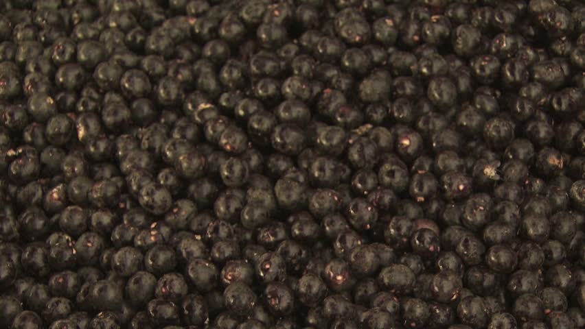 Header of Acai Berry