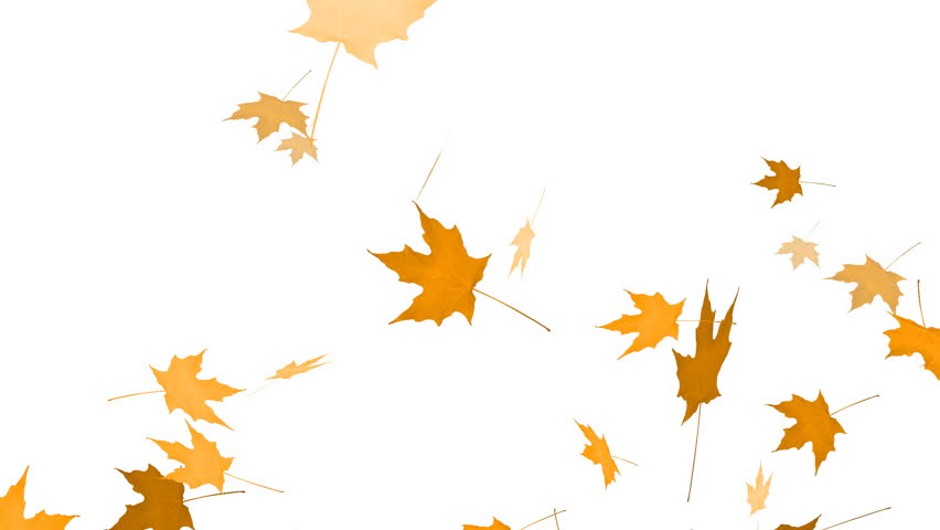 autumn leaves animated clipart - photo #23