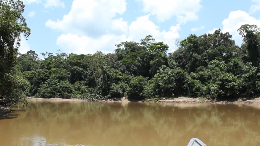 Speeding Down The Rio Cononaco In A Motorized Canoe In The Ecuadorian 