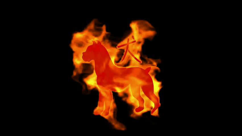 Chinese Zodiac Of Fire Dog And Handwriting Chinese Kanji china 
