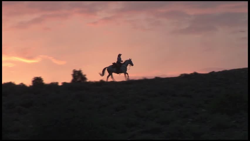 Cowboy Roping At Sunset Slow Motion Stock Footage Video 4617497