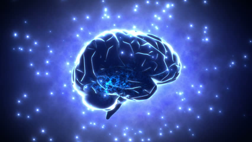 Brain Images. Stock Footage Video 3785555 - Shutterstock