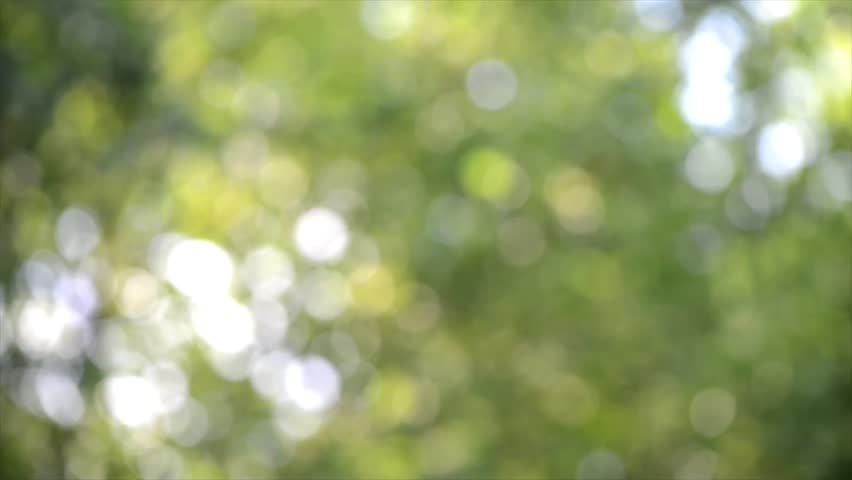 Green Blurred Background Video Stock Footage Video 4812437 - Shutterstock
