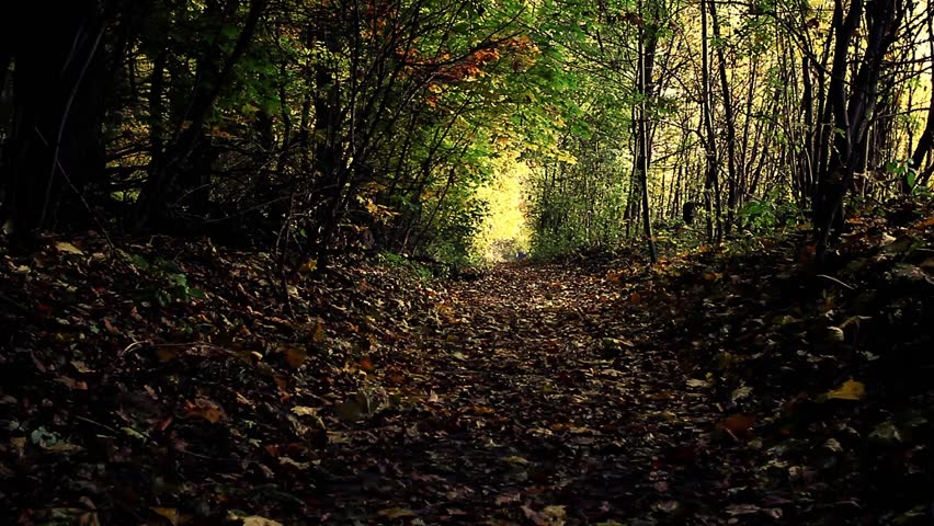 Header of Autumny