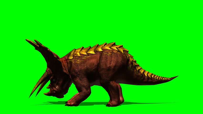 do triceratops eat meat