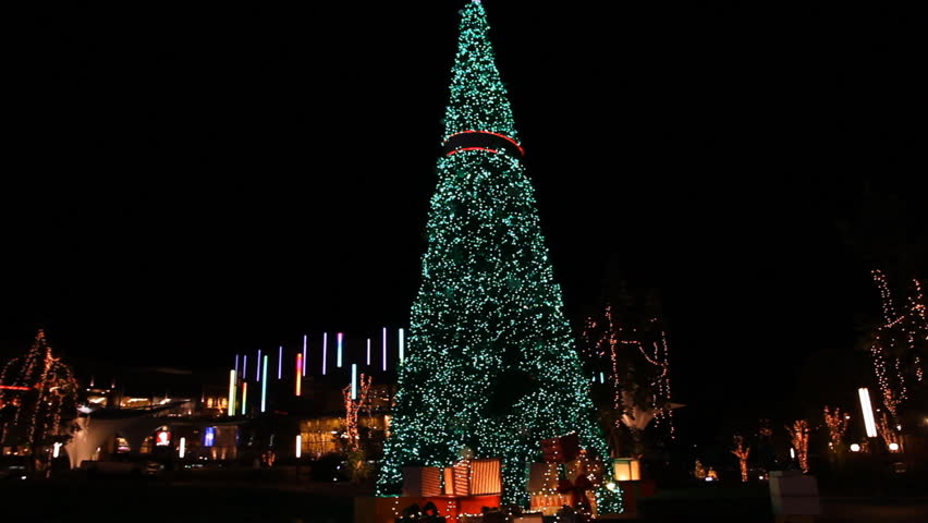 The Giant Christmas Tree Outside Toronto City Hall At Night Illuminated 