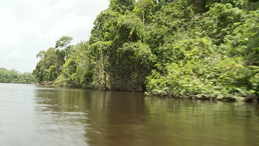 Tropical Berbice River In Guyana 01 Stock Footage Video 541564