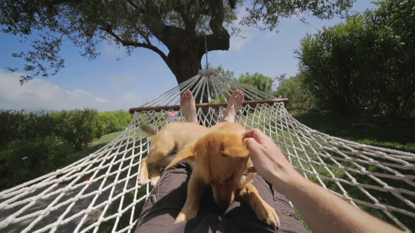 诸如此类视频素材-站酷海洛创意正版图片,视频