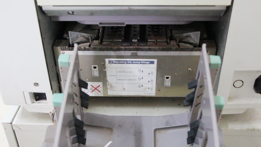 Argumentative essay copy and paste picture