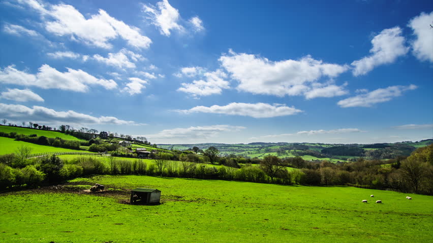 Beautiful Countryside View Of Green Fields, Pastures, Hills, Sheep 