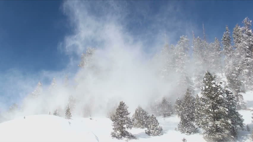 Snow Blows Through Trees On Windy Winter Day X Stock Footage Video Shutterstock