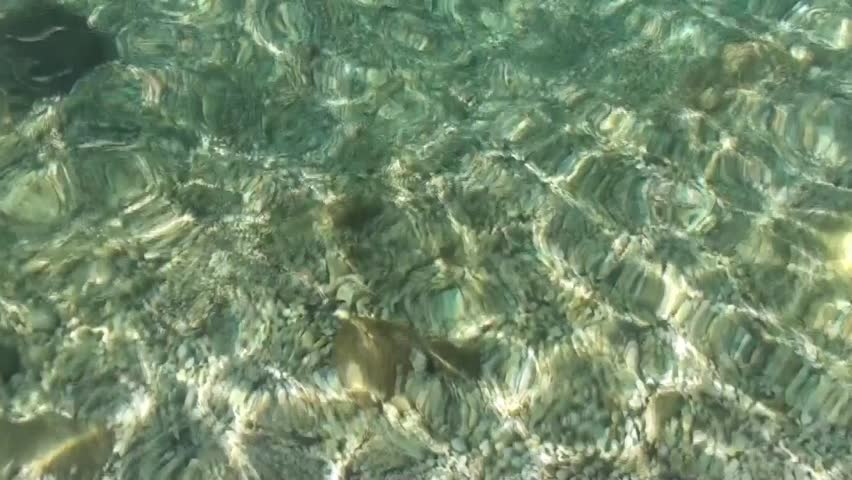 Shoal Of Baby Fish In Marble Water At The Shallows Stock Footage Video