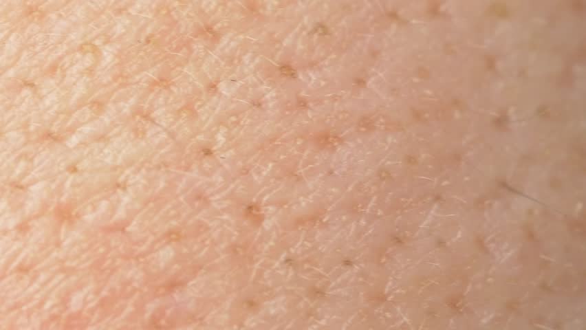 pores on human skin macro up of caucasian skin with holls stock photo royalty free image human white skin closeup macro stock footage 8977615 pores on human skin macro up of caucasian skin with holls stock photo royalty free image human white skin closeup macro stock footage 8977615
