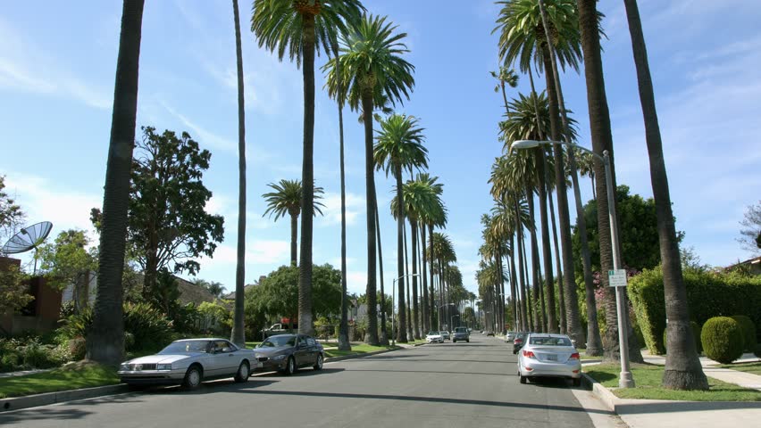 4K, UHD, Palm Trees In Tropical Beverly Hills, Los Angeles, California