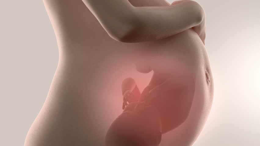 Header of 3D ultrasound