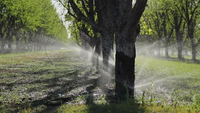 tree farm irrigation systems