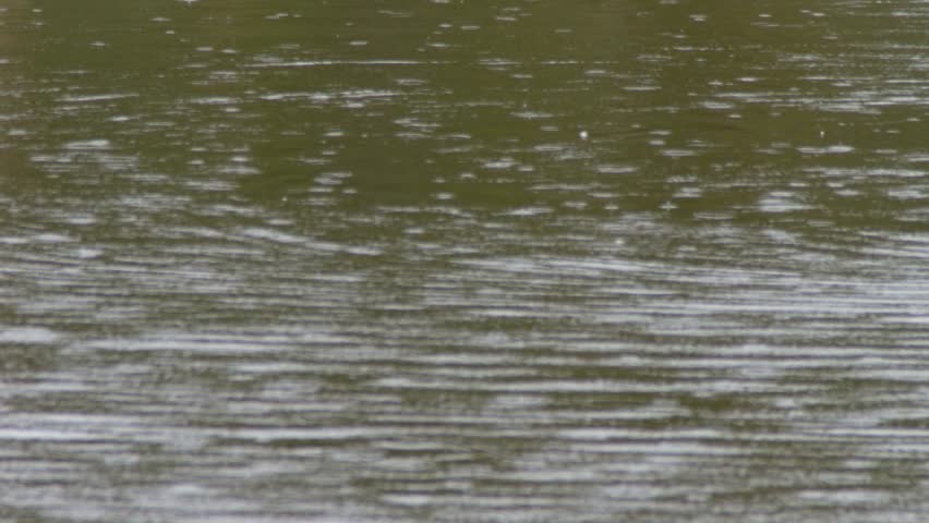 cu-of-alligator-head-protruding-from-water-snapping-jaws-stock-footage