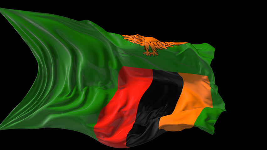 Zimbabwe Flag Stock Footage Video - Shutterstock