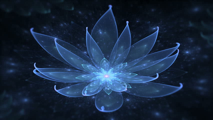 glowing blue lotus water enlightenment or glowing blue lotus water enlightenment or glowing blue lotus water enlightenment or glowing blue lotus water enlightenment or
