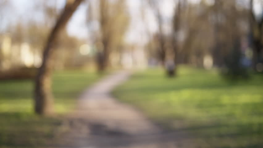 Blurred Bokeh Background In City Park Spring Time, Prores Hq Footage ...