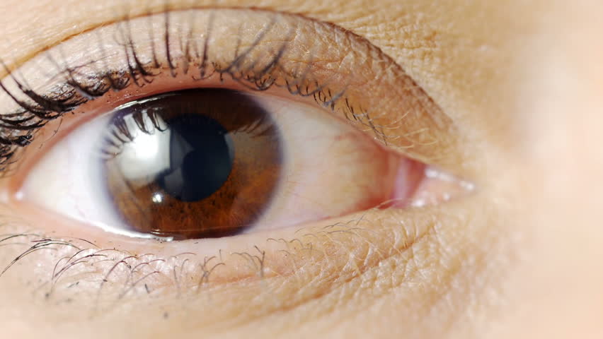 Extreme Close Up Human Eye Iris In 4K UHD Video. Human Eye Iris ...