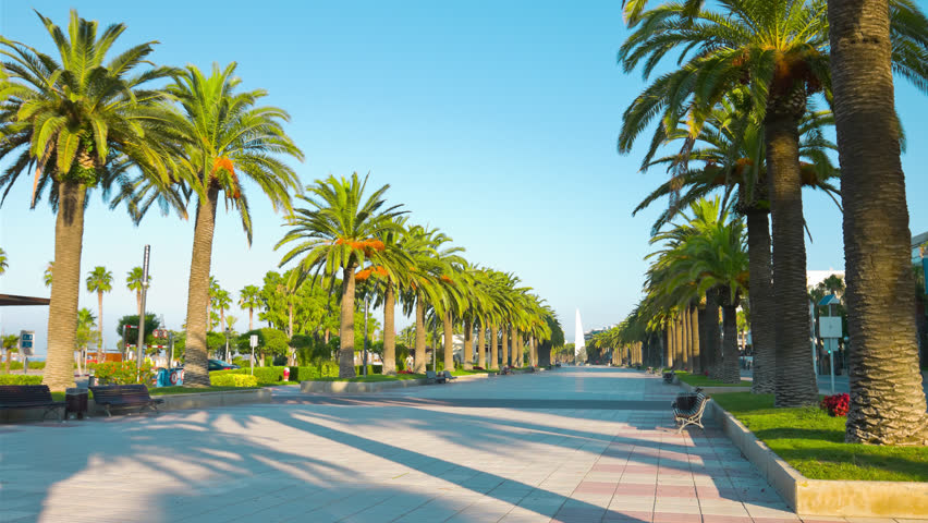 Palm Trees Avenue In Salou, Costa Daurada, Catalonia, 4k Spain Stock ...