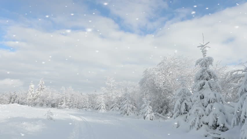 Ethereal Winter Landscape In Falling Snow Ethereal White Winter ...