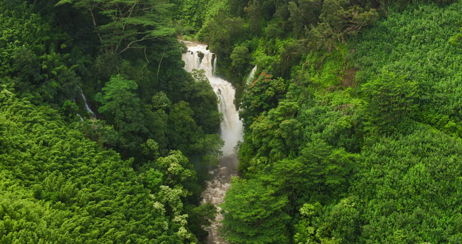 Papua New Guinea, Highland Territory At Ambua Falls Stock Footage Video ...