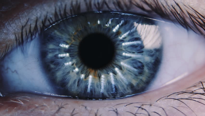 Eye Iris And Pupil Macro. Reflected Moving Light Rays Into The Human ...