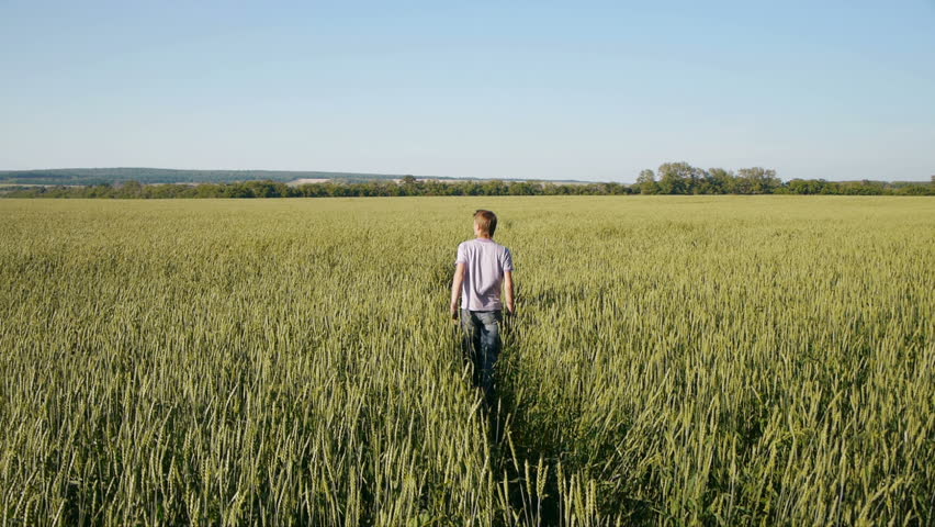 Young Man Walking Through Wheat Field Stock Footage Video 6989188 ...