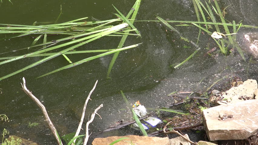 Water Pollution In A Duck Pond, In Topeka, Kansas. Stock Footage Video ...