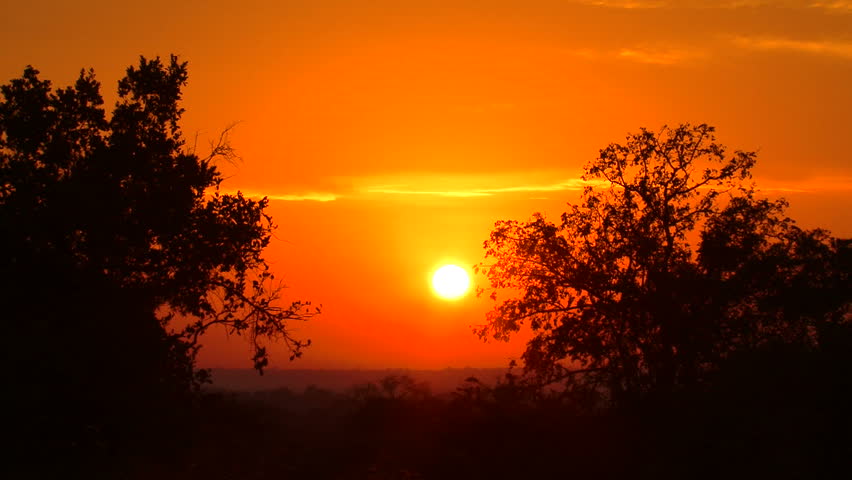 A Red Sunset Over An African Savanna Stock Footage Video 2675936 ...