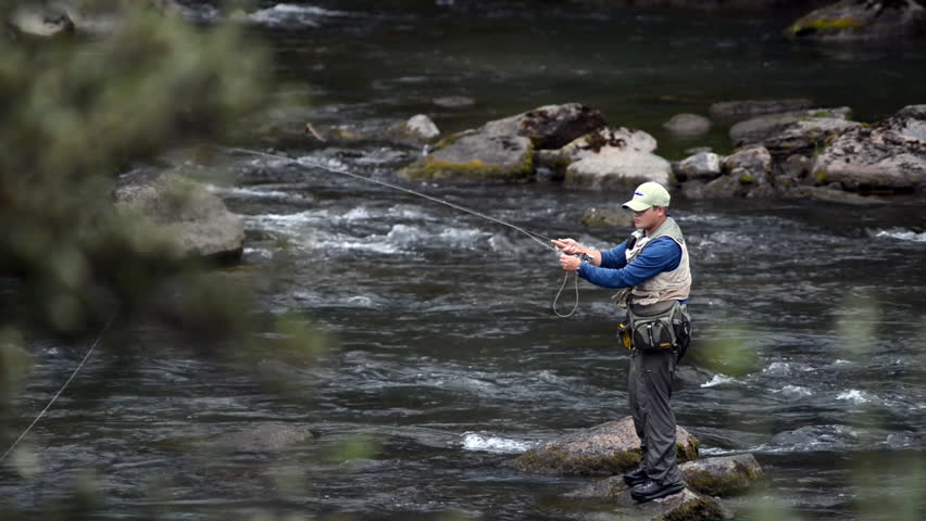 Fly-fishing In Mountain Stream Stock Footage Video - Shutterstock