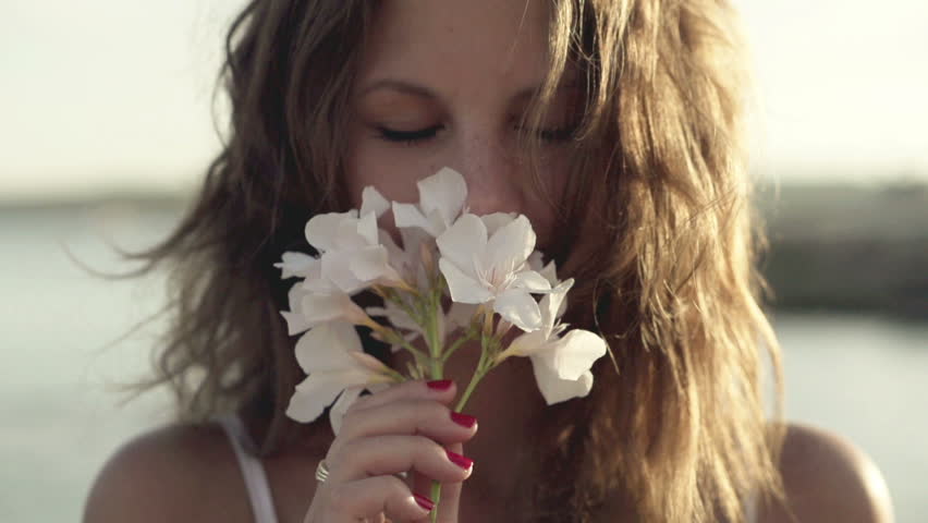 Flower Free Video Clips - (98 Free Downloads)