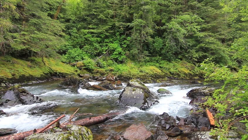 Canyon Creek Falls Located East Of Amboy Washington On Canyon Creek ...