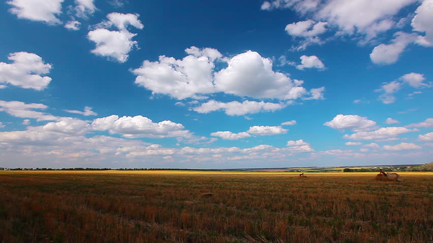 Yellow Field And Cloudy Sky Stock Footage Video 4298078 - Shutterstock