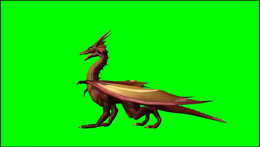 Dragon Walk - Seperated On Green Screen Stock Footage Video 5428427 ...