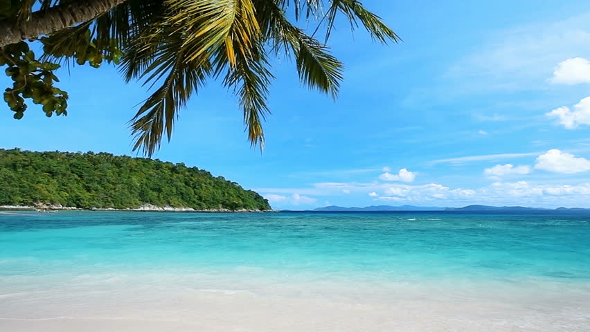 Coconut Stock Footage Video - Shutterstock