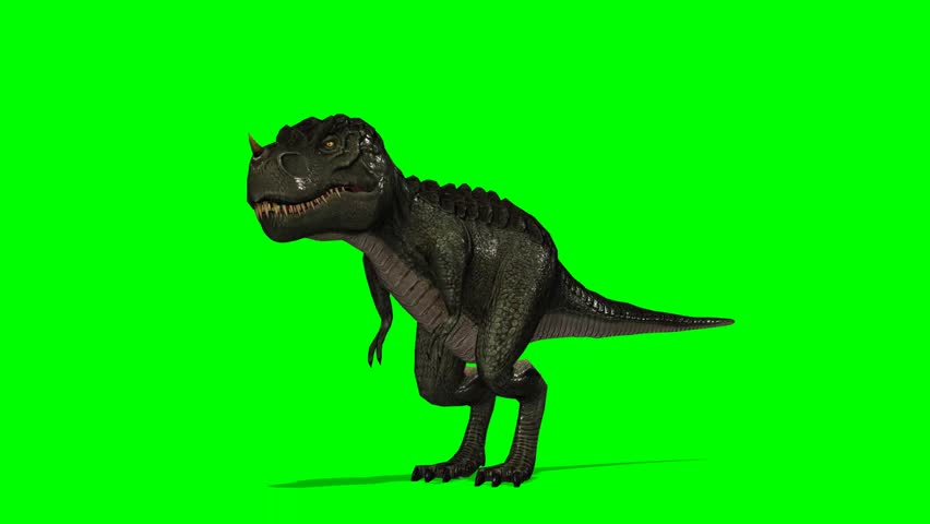 Dinosaur Tyrannosaurus T-Rex Runs - Green Screen Stock Footage Video ...